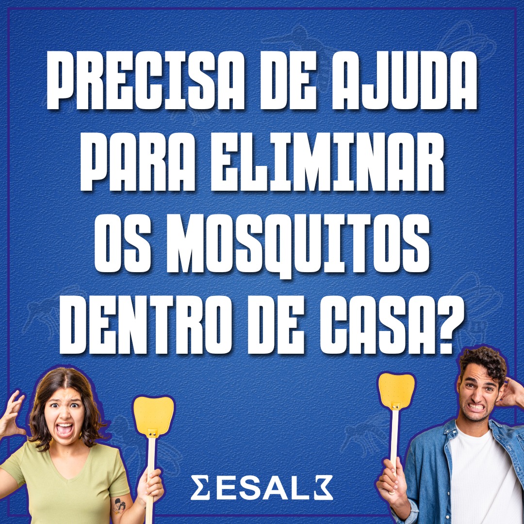 Precisa de ajuda para eliminar os mosquitos dentro de casa?